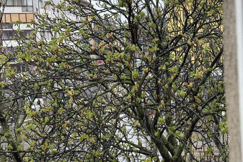 ERSTBEZUG 2 Zimmerwohnung, Wohnung-miete, 902,21,€, 1100 Wien 10., Favoriten
