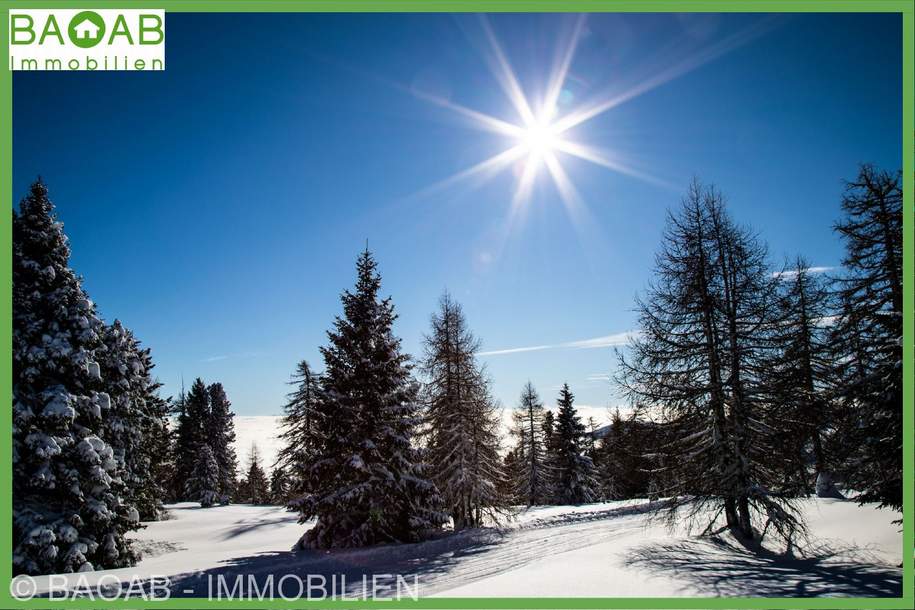 EXKLUSIVES PORTFOLIO | ÖSTERREICHS SCHÖNSTEN ALPENREGIONEN | PISTENZUGANG &amp; FREIZEITWOHNSITZ, Haus-kauf, 9571 Feldkirchen