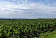 2,5 ha Landwirtschaftlicher Grund in sehr guter Lage