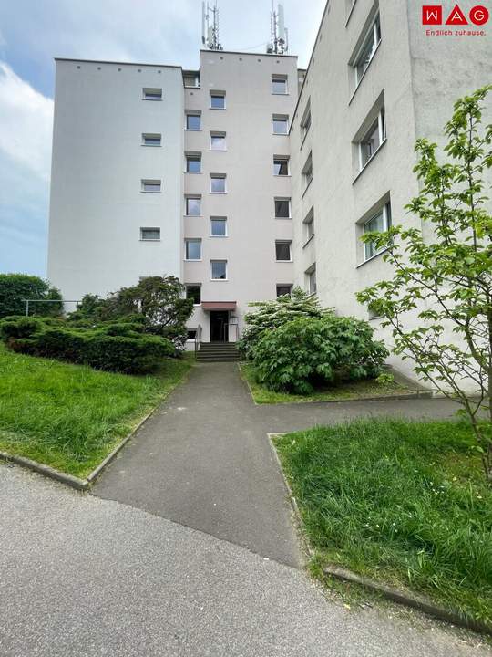 Gemütliche 1-Zimmer-Wohnung mit separater Küche in Linz! Leistbares Wohnen im beliebten Stadtteil Hummelhof!