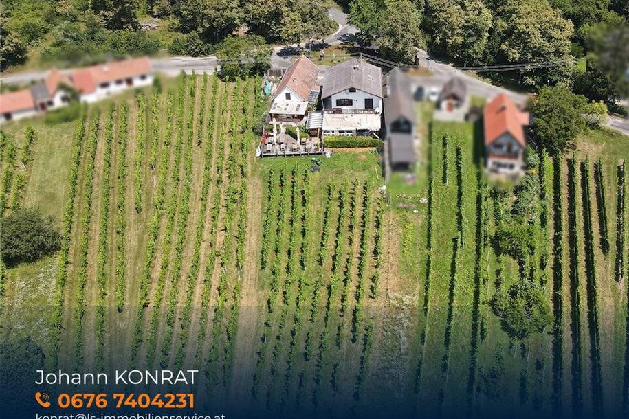 Ehemaliger Gastronomiebetrieb mit Möglichkeit zum Hauptwohnsitz in den Weinbergen!, Gewerbeobjekt-kauf, 420.000,€, 7474 Oberwart