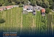 Ehemaliger Gastronomiebetrieb mit Möglichkeit zum Hauptwohnsitz in den Weinbergen!