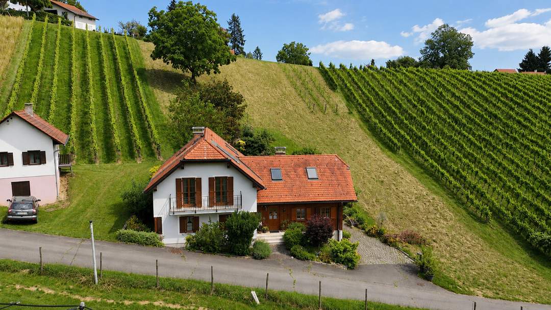 Wunderschön ausgebautes ehemaliges Kellerstöckl mit über 3.200 m² Grund und tollem Gewölbekeller!