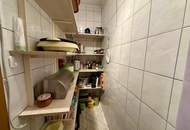 Haus zum Wohlfühlen mit Wintergarten und Pool auf großem Grundstück!