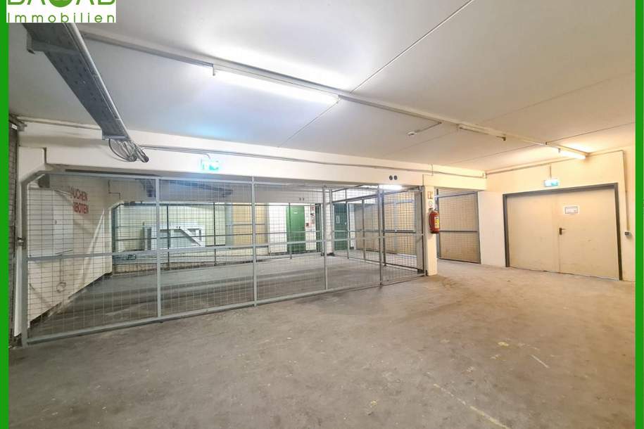 Zentrale, moderne Lagerflächen mit Parkplätzen direkt vor Ort., Gewerbeobjekt-miete, 9020 Klagenfurt(Stadt)