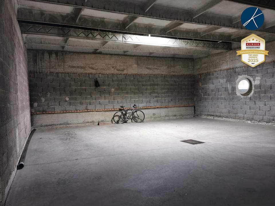 Lagerhalle / Garage in der Mitterau