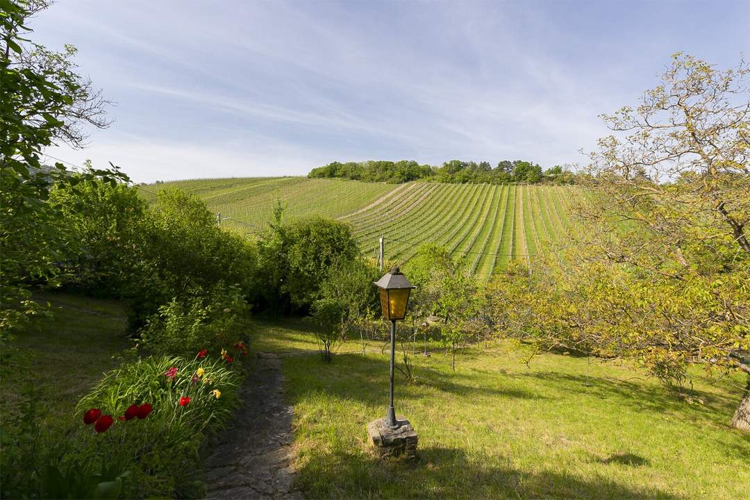 Einzellagenjuwel - 2.500m2 Grundstück zwischen den Weinreben am Nußberg