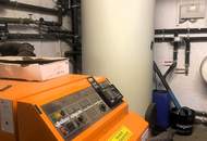 Einfamilienhaus und Gästehaus auf großem Grundstück, Pool und Schneebergblick!