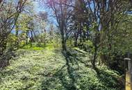 IHR BAUGRUND IM ZENTRUM VON ASCHBACH-MARKT ? SELTENE GELEGENHEIT MIT GESTALTUNGSSPIELRAUM