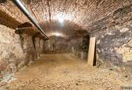 GESCHÄFTSLOKAL II GASTRONOMIE II BÜRO II VIELE MÖGLICHKEITEN II 222m² EG FLÄCHE + KG 95m² LAGER II NÄHE THALIASTRASSE U6