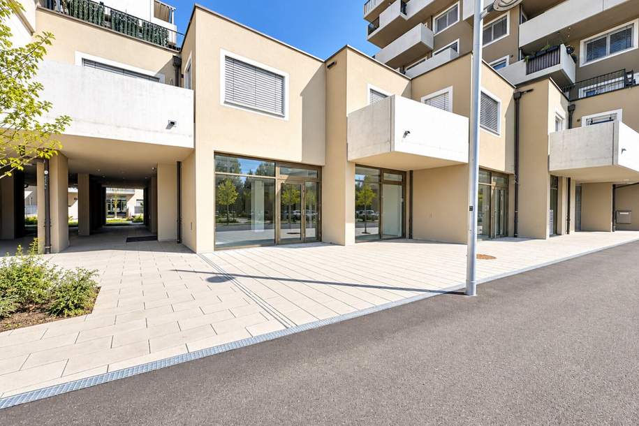 Leo am Teich - Wohnen am Badeteich Hirschstetten, Gewerbeobjekt-miete, 5.481,61,€, 1220 Wien 22., Donaustadt