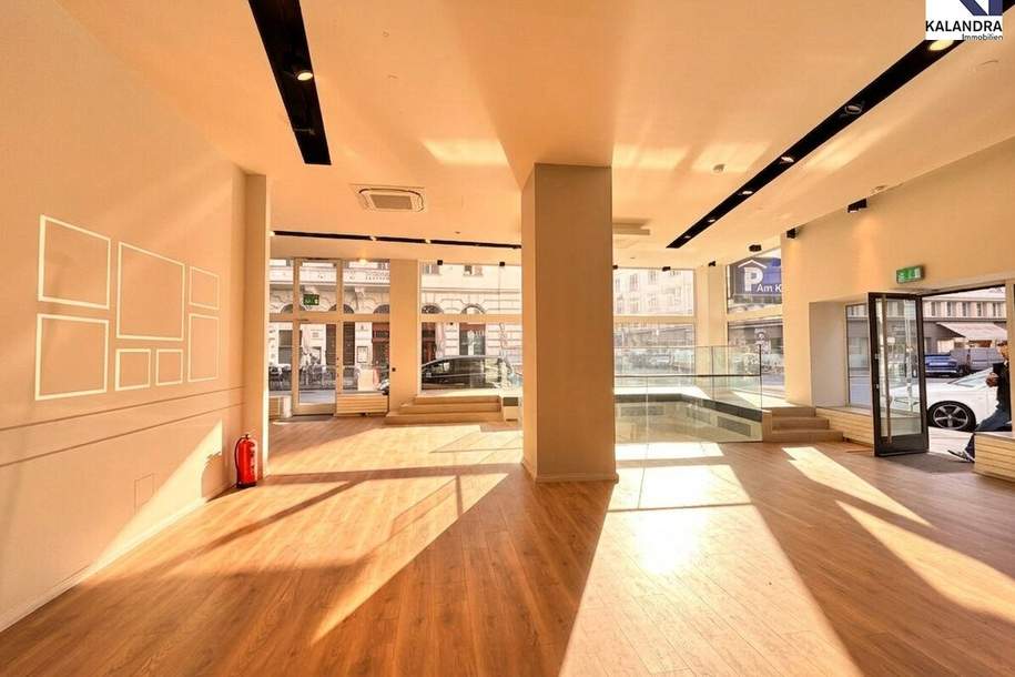 360 TOUR // GESCHÄFTSLOKAL IN TOPLAGE, Gewerbeobjekt-miete, 8.305,63,€, 1010 Wien 1., Innere Stadt