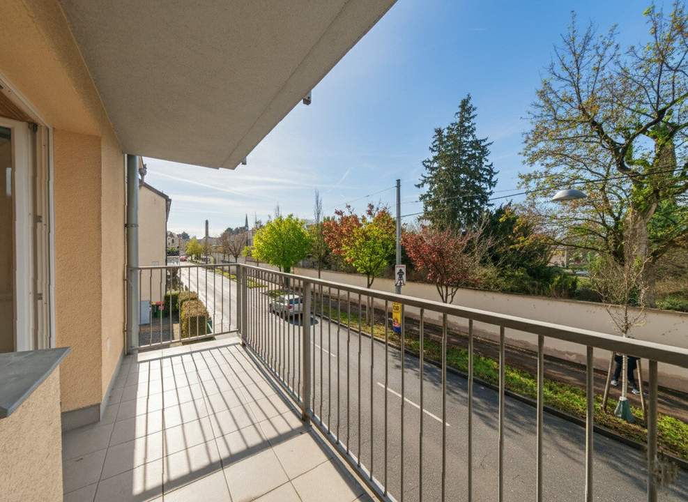 Exklusiv mit Schönbrunnblick