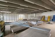 Attraktive 350m² Gewerbefläche in 2103 Langenzersdorf - Wiener Stadtgrenze