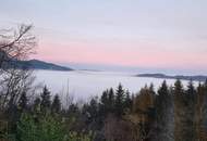 ALLEINLAGE - INTAKTE NATUR - HERRLICHE AUSSICHT - IHR TRAUM? GERNE BAUER?