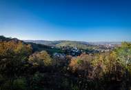 Traumhaftes Grundstück mit Bebauungstudie, Nähe Kahlenberg