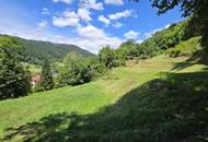 Bauland (ca. 8.700 m²) in herrlicher Panoramalage zu kaufen in Stattegg!