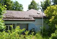 Ideal als Bildungszentrum, Seminar- und Tagungsraum mit kreativem Potential |🌳🏞️ Sanierungsobjekt nahe Stadtpark