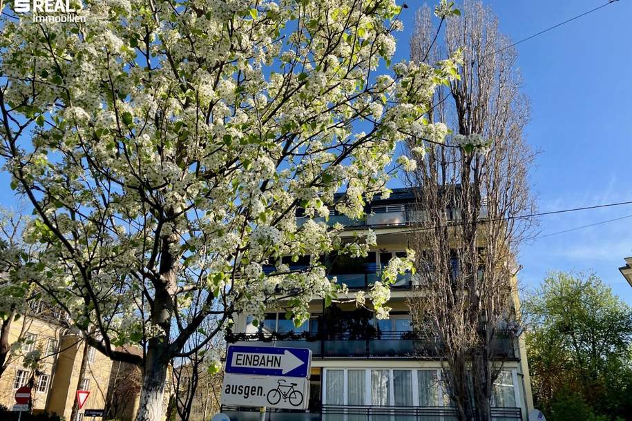 TOPLAGE - 2,5 Zimmer mit Terrasse beim Hügelpark, Wohnung-miete, 1.400,00,€, 1130 Wien 13., Hietzing