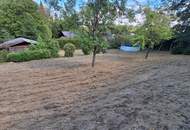 Naturnahes Grundstück mit viel Platz und Potenzial in Alberndorf!