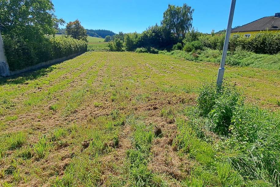 Ein guter Grund weiterzulesen....., Grund und Boden-kauf, 78.234,€, 3383 Melk