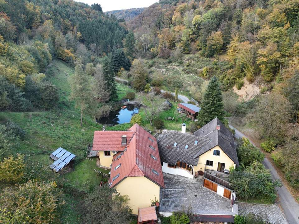 Refugium in Waldrandlage – Wohnen und Vermieten in der Wachau