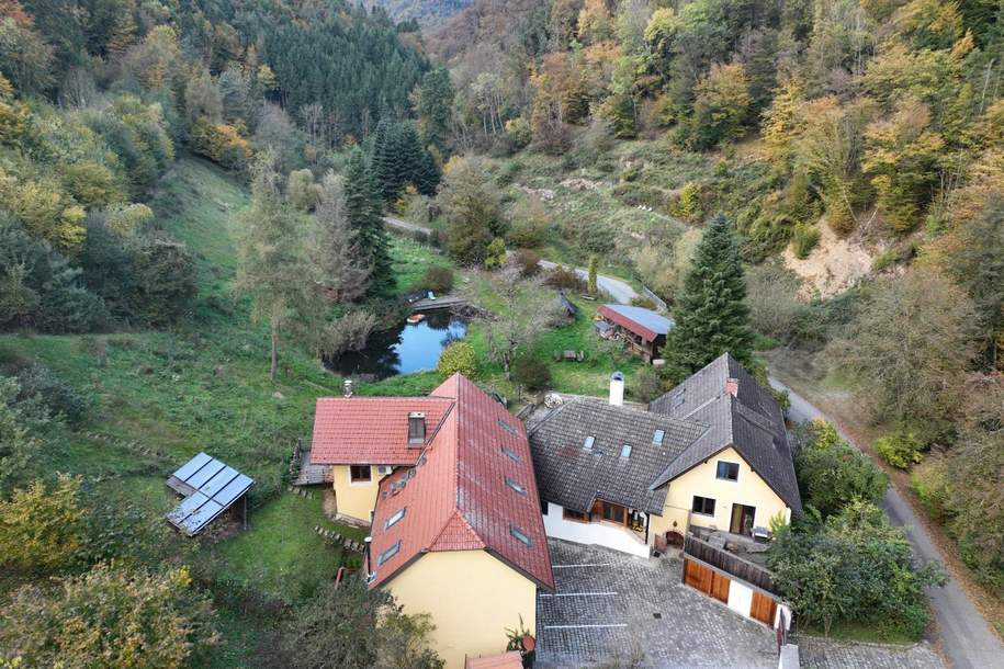 Refugium in Waldrandlage – Wohnen und Vermieten in der Wachau, Haus-kauf, 3644 Melk