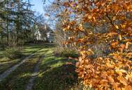 Einzigartige Jahrhundertwende-Villa mit Privatpark und Wald | Blick in alle Himmelsrichtungen | Lichtdurchflutet