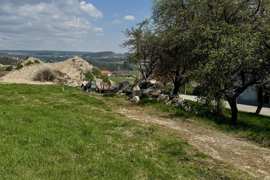 Ruhig. Grün. Stadtnah. - Baugrundstück ohne Bauzwang, Grund und Boden-kauf, 295.000,€, 4203 Urfahr-Umgebung