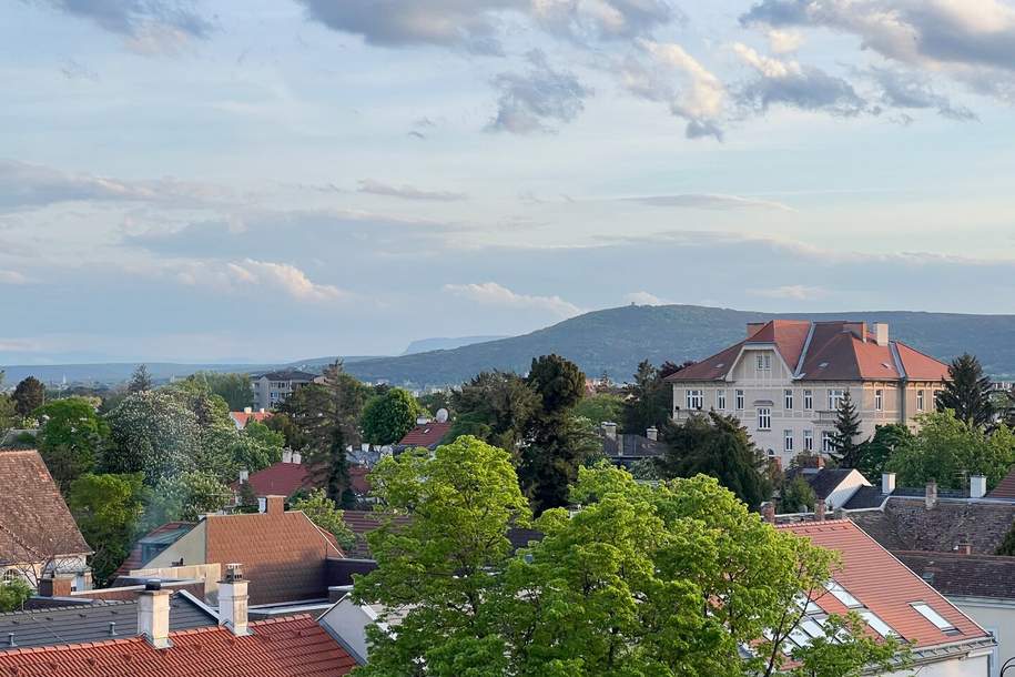 Traumhafter Ausblick unterm Dach!, Wohnung-kauf, 229.000,€, 2500 Baden