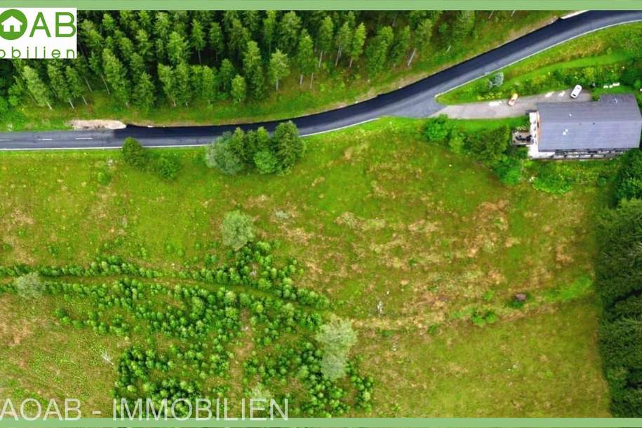 IHR PROJEKT AUF 4,7 HA ALMFLÄCHE | PANORAMABLICK GARANTIERT | IDEAL FÜR TOURISTISCHE NUTZUNG, Grund und Boden-kauf, 1.599.930,€, 9400 Wolfsberg