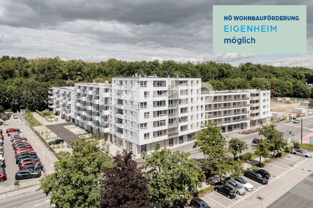 Perfekt für Jungfamilien!