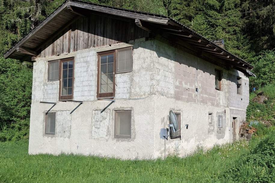 Sanierungsobjekt in Alleinlage für kreative Köpfe und Investoren in Oberkärnten. Rakowitzen., Haus-kauf, 54.500,€, 9832 Spittal an der Drau