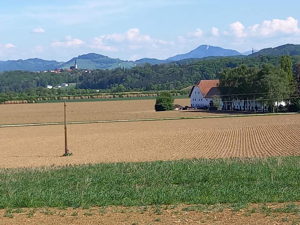 Fernblick garantiert! - Hangbaugrundstück mit Baumbestand aufgeschlossen