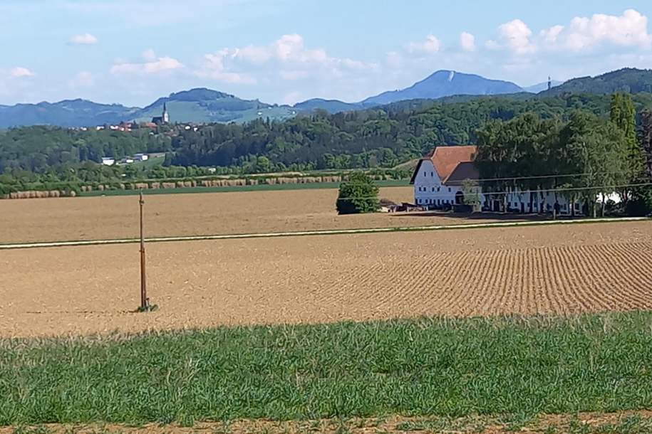 Fernblick garantiert! - Hangbaugrundstück mit Baumbestand aufgeschlossen, Grund und Boden-kauf, 240.367,€, 4522 Steyr-Land