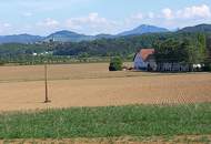 Fernblick garantiert! - Hangbaugrundstück mit Baumbestand aufgeschlossen