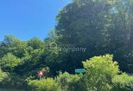 Außergewöhnlich großzügige Zimmer &amp; perfekte Raumaufteilung am Wienerwald!