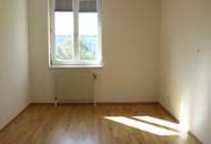 1220! Tolle 4 Zimmer Gartenwohnung und Stellplatz in Grünruhelage!