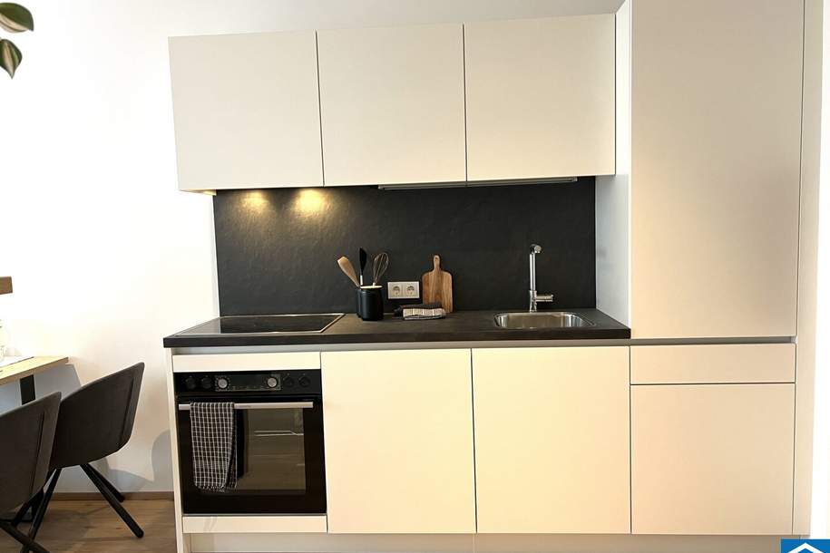 Erstbezug ab 01. Juni ++ 1 Zimmer Wohnung mit Einbauküche im 16.OG!, Wohnung-miete, 799,00,€, 4020 Linz(Stadt)