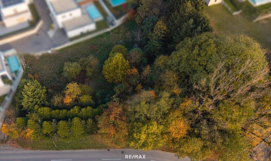 Vom Traum zum Zuhause – 821 m² Lebensfreude in Steinhaus - Grundstück mit vielen Möglichkeiten