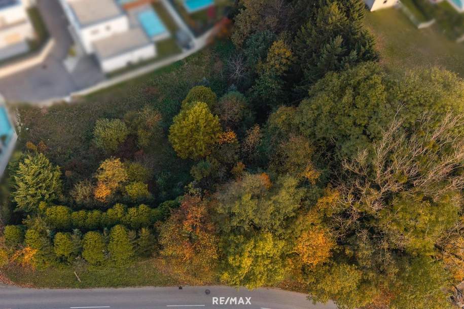 Vom Traum zum Zuhause – 821 m² Lebensfreude in Steinhaus - Grundstück mit vielen Möglichkeiten, Grund und Boden-kauf, 215.000,€, 4641 Wels-Land