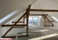 Luxuriöses Penthouse mit historischem Charme und Blick über die Weingärten