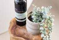 JARDIN HERMES - BOUTIQUE-PROJEKT DER EXTRAKLASSE