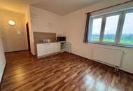 ANLEGERHIT – Mini-Apartment mit Badezimmer in zentraler Lage - Zimmer 20! Nähe BMW, SKF!!!