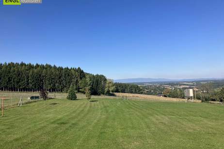 Skandinavisches Blockhaus mit Galerie, Kamin und großem Grundstück mit Fernblick, Haus-kauf, 690.000,€, 7534 Güssing