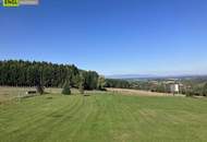 Skandinavisches Blockhaus mit Galerie, Kamin und großem Grundstück mit Fernblick