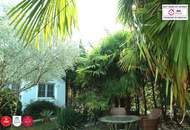 Kalifornien-Flair, Wiener Adresse – das Beste aus zwei Welten