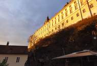 Geschäft/Büro/Praxis im Zentrum von Melk