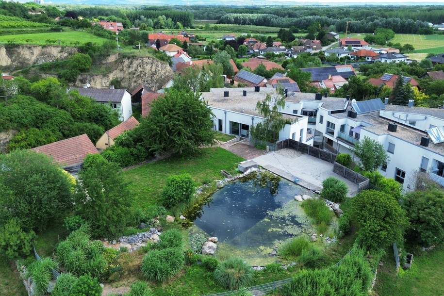 Großzügiges Penthouse mit Garten und Schwimmteich, Wohnung-miete, 2.947,80,€, 3133 Sankt Pölten(Land)