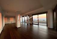 Ganz viel Balkon & ganz Wien im Blick (Gym, Pool, Sauna, Doorman uvm): Neubau-Erstbezug DANUBEFLATS